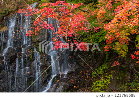 秋の青森県黒石市 紅葉の中野もみじ山 不動の滝 秋の青森県黒石市 紅葉の中野もみじ山 不動の滝 123769689