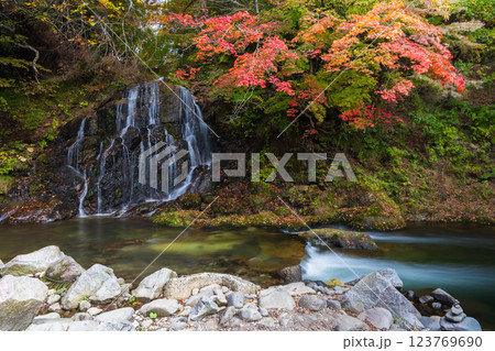 秋の青森県黒石市　紅葉の中野もみじ山　不動の滝 123769690