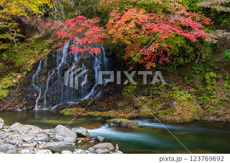 秋の青森県黒石市　紅葉の中野もみじ山　不動の滝 123769692