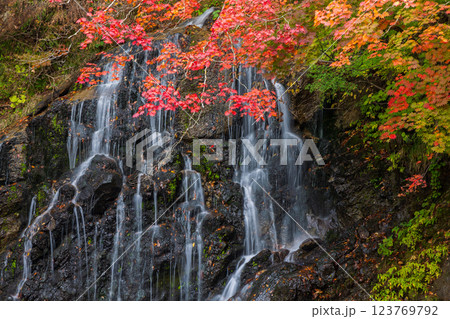 秋の青森県黒石市 紅葉の中野もみじ山 不動の滝 秋の青森県黒石市 紅葉の中野もみじ山 不動の滝 123769792