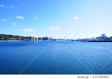 峰ヶ崎展望スポットからの気仙沼湾 123769863