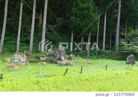 一乗谷朝倉氏遺跡　南陽寺跡庭園 123770060