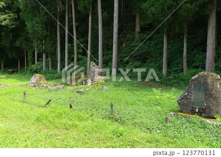 一乗谷朝倉氏遺跡　南陽寺跡庭園 123770131