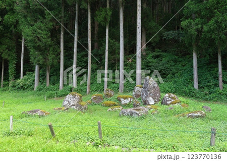 一乗谷朝倉氏遺跡　南陽寺跡庭園 123770136