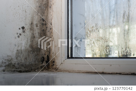 mold on wet plastic windows.  123770142