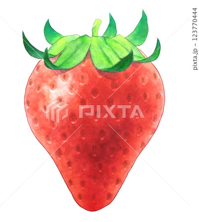 いちごのイラスト いちごのイラスト 123770444