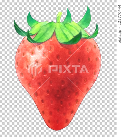 いちごのイラスト いちごのイラスト 123770444