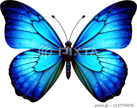 きらめく青い蝶 123770476