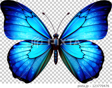 きらめく青い蝶 123770476