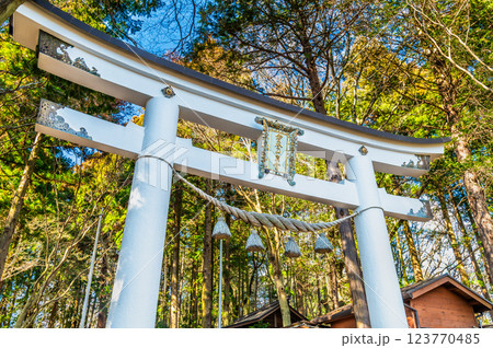 埼玉・秩父 宝登山神社奥宮 鳥居 埼玉・秩父 宝登山神社奥宮 鳥居 123770485