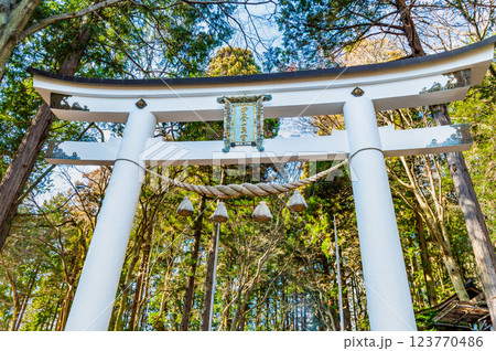 埼玉・秩父 宝登山神社奥宮 鳥居 埼玉・秩父 宝登山神社奥宮 鳥居 123770486