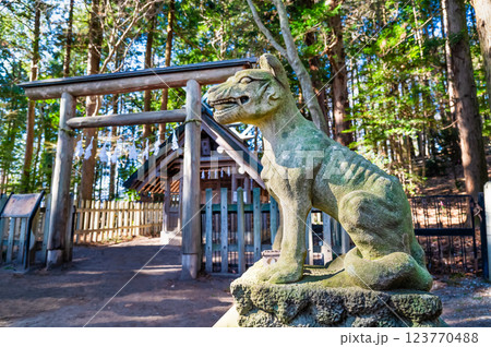 埼玉・秩父 宝登山神社奥宮 お犬様 埼玉・秩父 宝登山神社奥宮 お犬様 123770488