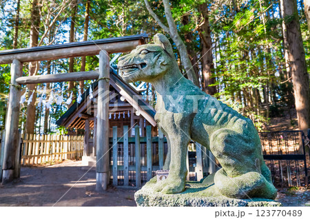 埼玉・秩父　宝登山神社奥宮 お犬様 123770489