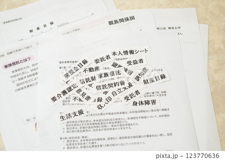 成年後見制度　本人に代わって法律的に支援する制度 123770636