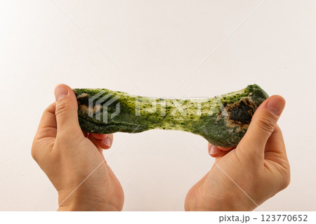 焼いた草もちを割る 焼いた草もちを割る 123770652