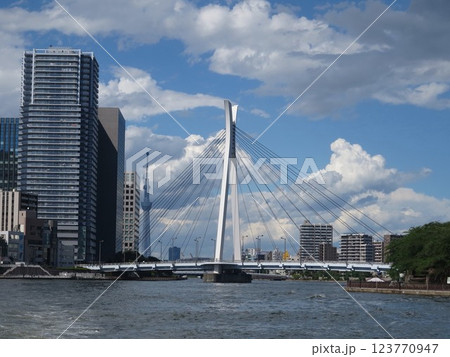 隅田川 中央大橋と東京スカイツリー 123770947