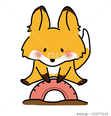 公園のタイヤとびで遊ぶキツネ 123771132