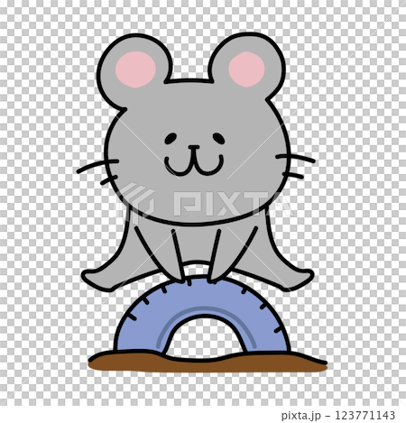 A mouse playing with a tire jump in the park 123771143
