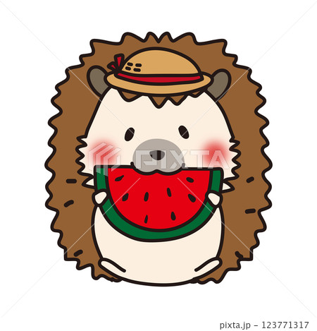 夏に麦わら帽子をかぶってスイカを食べているハリネズミ 123771317