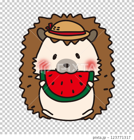 夏に麦わら帽子をかぶってスイカを食べているハリネズミ 123771317