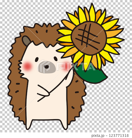 ヒマワリを持っているハリネズミ 123771318