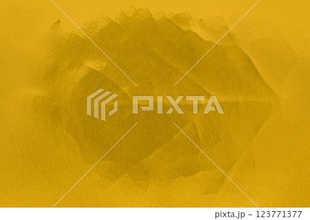 黄金の葉脈【背景素材】 黄金の葉脈【背景素材】 123771377