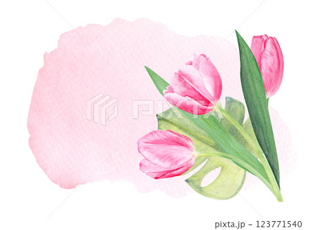 Tulip bouquet horizontal card on pink watercolor background. Hand painted delicate pink flower design. High quality clip art perfect for mother's day, women's day cards, posters, banners, decor design 123771540