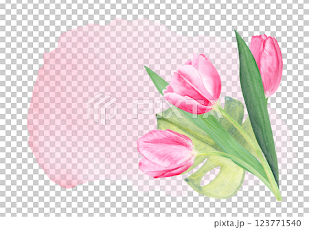 Tulip bouquet horizontal card on pink watercolor background. Hand painted delicate pink flower design. High quality clip art perfect for mother's day, women's day cards, posters, banners, decor design 123771540
