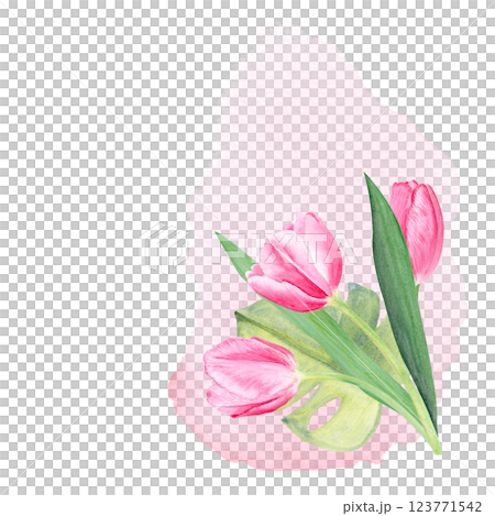Tulips bouquet on gradient background, watercolor composition isolated on white. Hand painted pink flowers. High quality clip art perfect for mother's day, women's day cards, posters, packaging, decor Tulips bouquet on gradient background, watercolor composition isolated on white. Hand painted pink flowers. High quality clip art perfect for mother's day, women's day cards, posters, packaging, decor 123771542