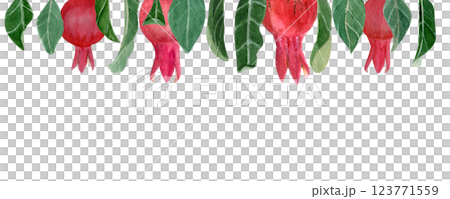 Four textured pomegranates with leaves watercolor border isolated on white. Hand drawn realistic bright fruits great for fall harvest cards, culinary designs, prints, banners decor. Autumn clip art 123771559