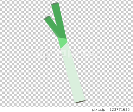 ネギ。ベクターイラスト	 123771636