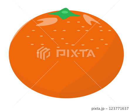 みかん。ベクターイラスト	 123771637