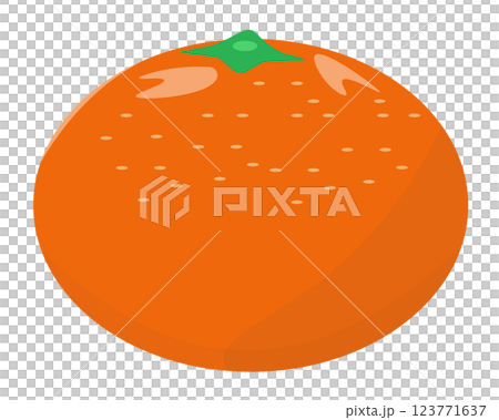 みかん。ベクターイラスト	 123771637