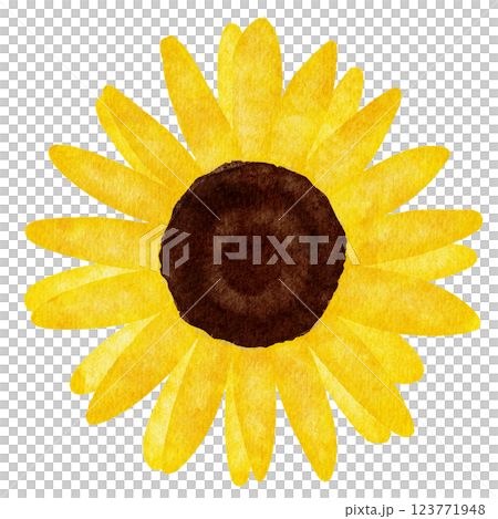 向日葵花圖畫水彩 123771948