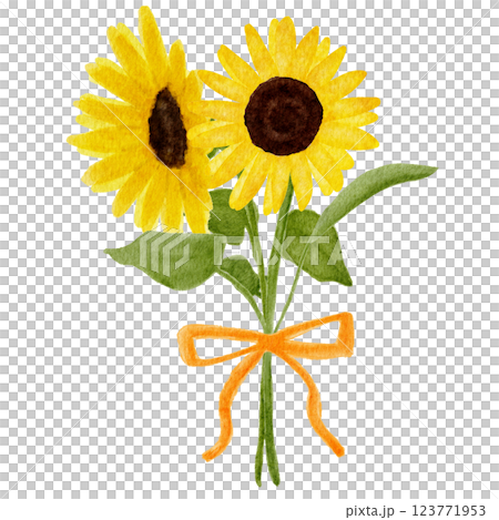 水彩で描いたひまわりの花のイラスト 123771953