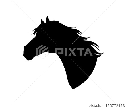 リアルな馬の横顔のシルエット リアルな馬の横顔のシルエット 123772158
