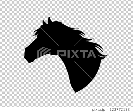 リアルな馬の横顔のシルエット リアルな馬の横顔のシルエット 123772158