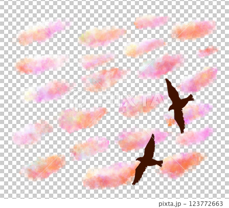 兩隻鳥在日落天空中飛過沙丁魚雲 123772663