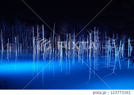 北海道美瑛の青い池　冬の夜の光輝くライトアップ 123773161