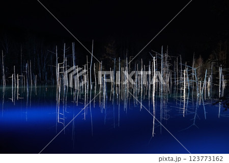 北海道美瑛の青い池　冬の夜の光輝くライトアップ 123773162