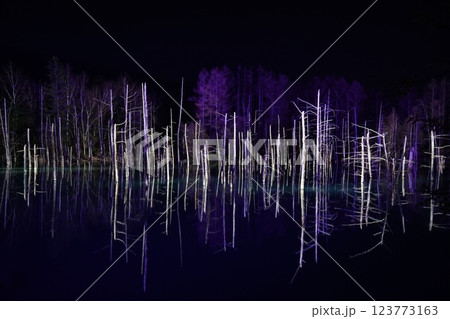 北海道美瑛の青い池　冬の夜の光輝くライトアップ 123773163