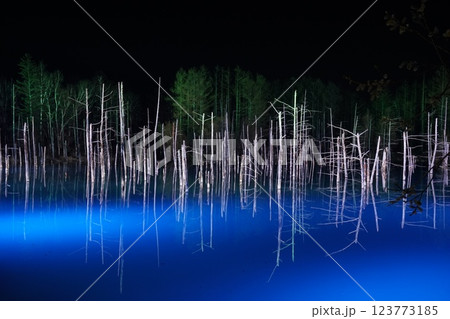 北海道美瑛の青い池 冬の夜の光輝くライトアップ 北海道美瑛の青い池 冬の夜の光輝くライトアップ 123773185