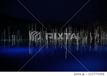 北海道美瑛の青い池　冬の夜の光輝くライトアップ 123773408