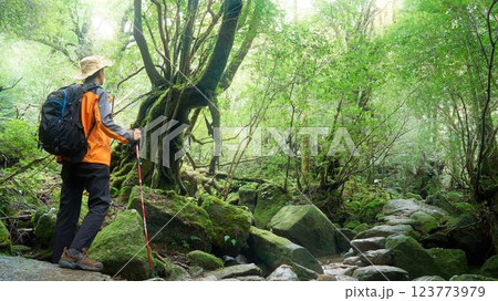 森林でトレッキングを楽しむ男性の後ろ姿 123773979