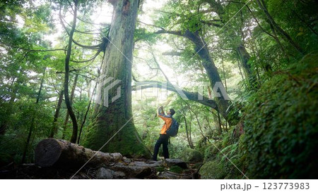 スマホで森林の写真を撮るトレッカーの男性 123773983