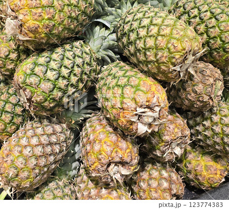 Fresh Pineapples in a Vibrant Market Display of Tropical Fruits, Colorful display of fresh, ripe pineapples at a market showcasing a tropical atmosphere Fresh Pineapples in a Vibrant Market Display of Tropical Fruits, Colorful display of fresh, ripe pineapples at a market showcasing a tropical atmosphere 123774383