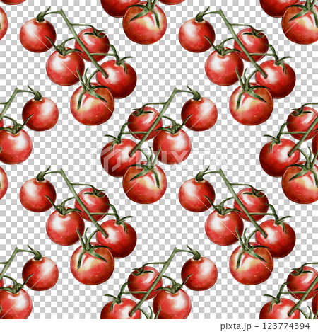 Seamless pattern with tomato sprigs 123774394