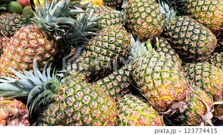 Fresh Pineapples in a Vibrant Market Display of Tropical Fruits, Colorful display of fresh, ripe pineapples at a market showcasing a tropical atmosphere Fresh Pineapples in a Vibrant Market Display of Tropical Fruits, Colorful display of fresh, ripe pineapples at a market showcasing a tropical atmosphere 123774415