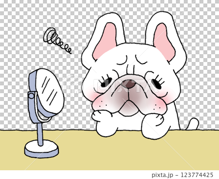 擔心皮膚鬆弛的法國鬥牛犬 123774425