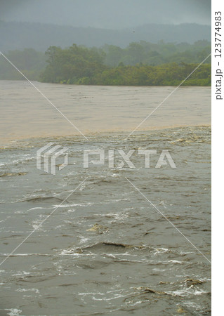 Local flood waters in Brisbane caused by Cyclone Alfred. 123774983